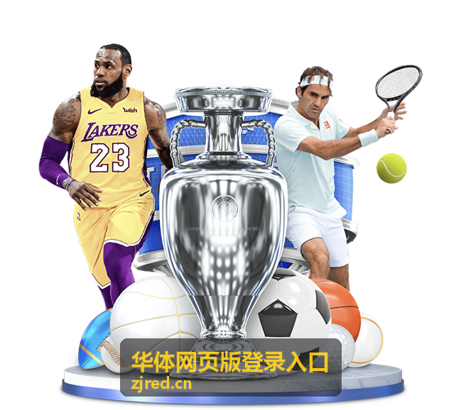 华体网页版登录入口账号安全设置界面示意
